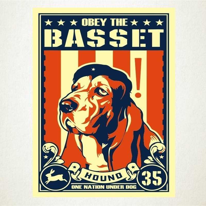 The Basset