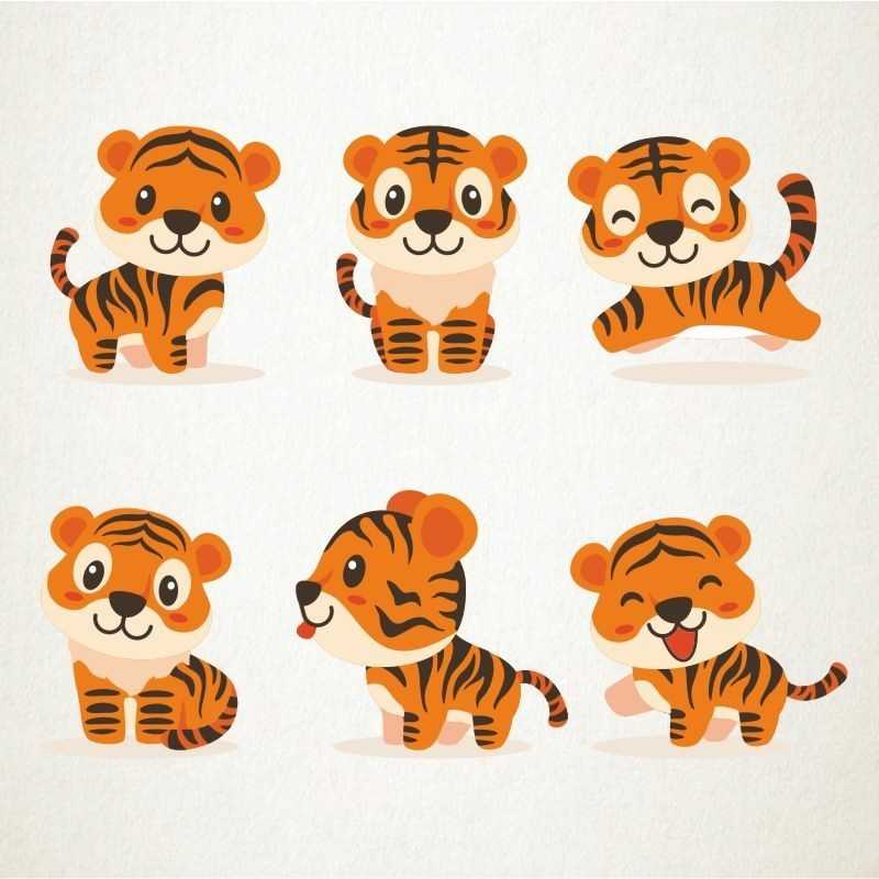 Bebes tigre