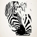 Zebër