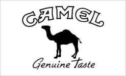 Camel